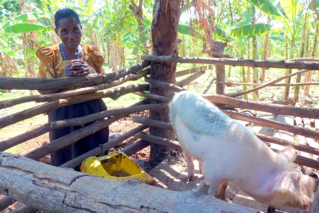 Woman standing outside next to an enclosure with a pig.