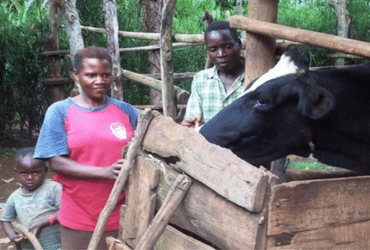 Joseph and Christina standing outside with their child next to the enclosure holding their family's cow.