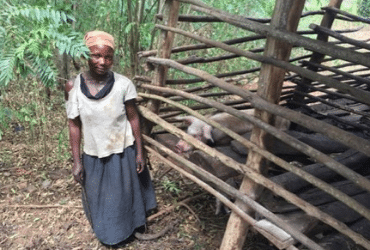 Sylvia Nalubega standing outside next to the enclosure holding her pig.