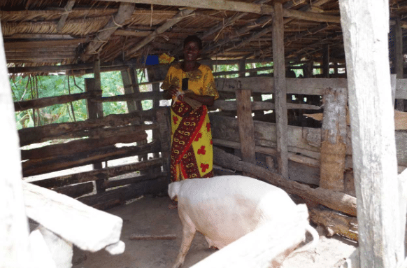 Woman smiling outside as she stands in an enclosure with a pig.