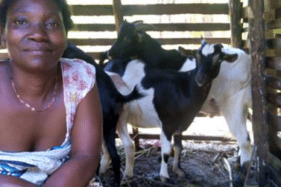 Woman outside in an enclosure with goats.