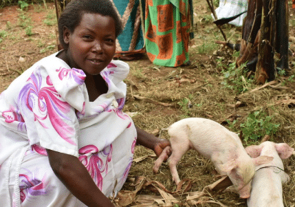 Young woman outside kneeling beside two piglets.