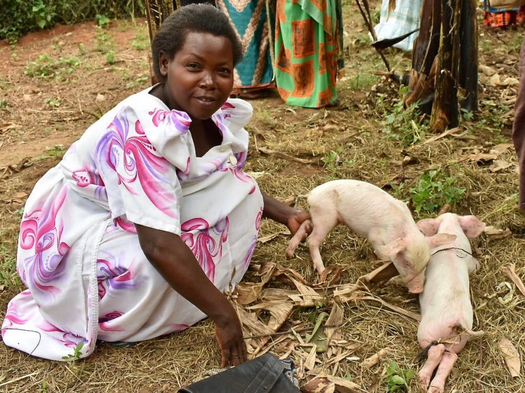 A woman kneeling outside next to her piglets.