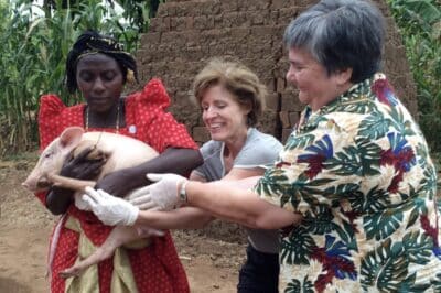 Three women outside caring for a small pig.