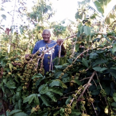 Kintu Saifi working in a field.