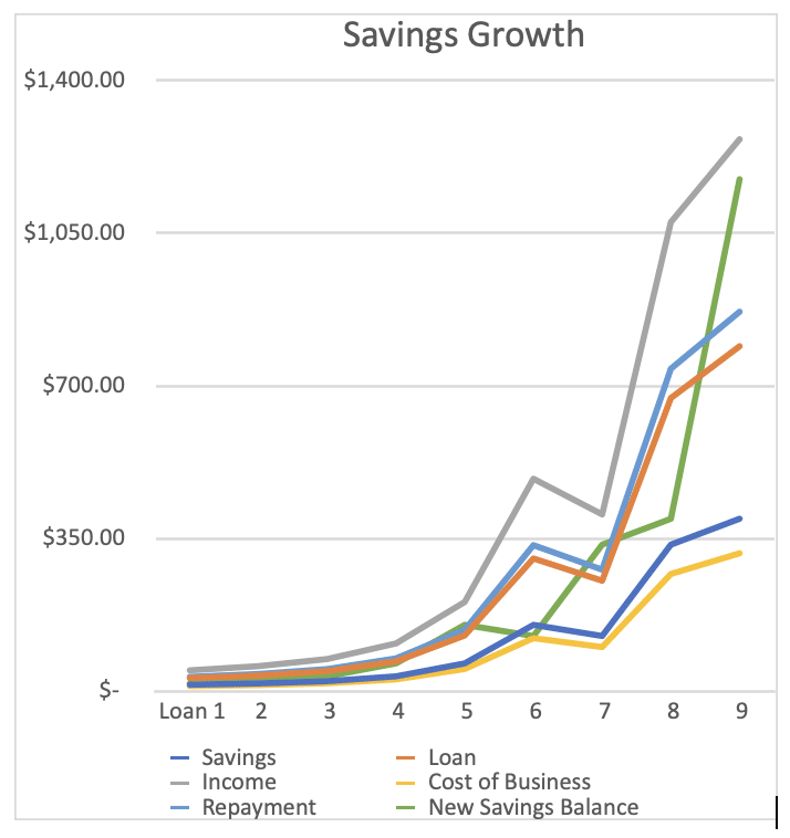 A Note From Our Executive Director The Math Of Microfinancing 