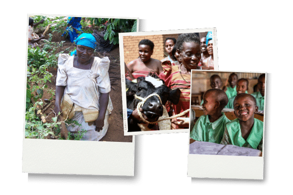 A collage of images: 1) A woman working in a field, 2) a woman handling a cow, and 3) students in a classroom.