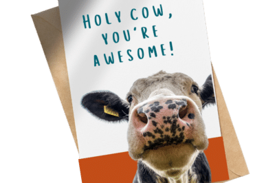 A card with a picture of a cow alongside the text: "Holy cow, you're awesome!"