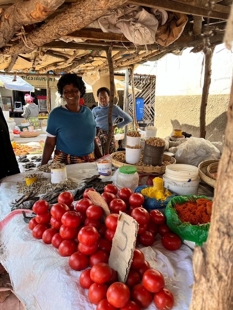 Two women tending a small shop in an open air marketplace in a rural village in Africa.