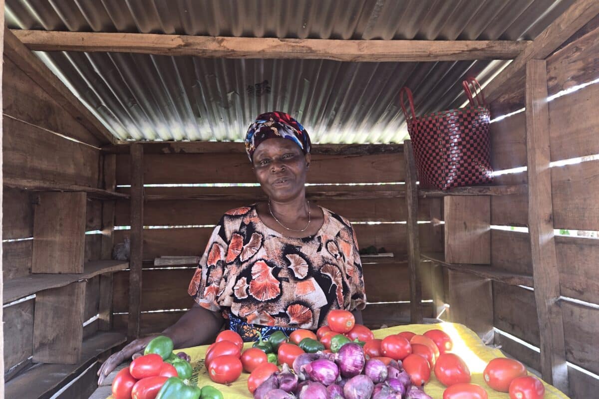 How Does Microfinance Work Microfinancing Partners In Africa