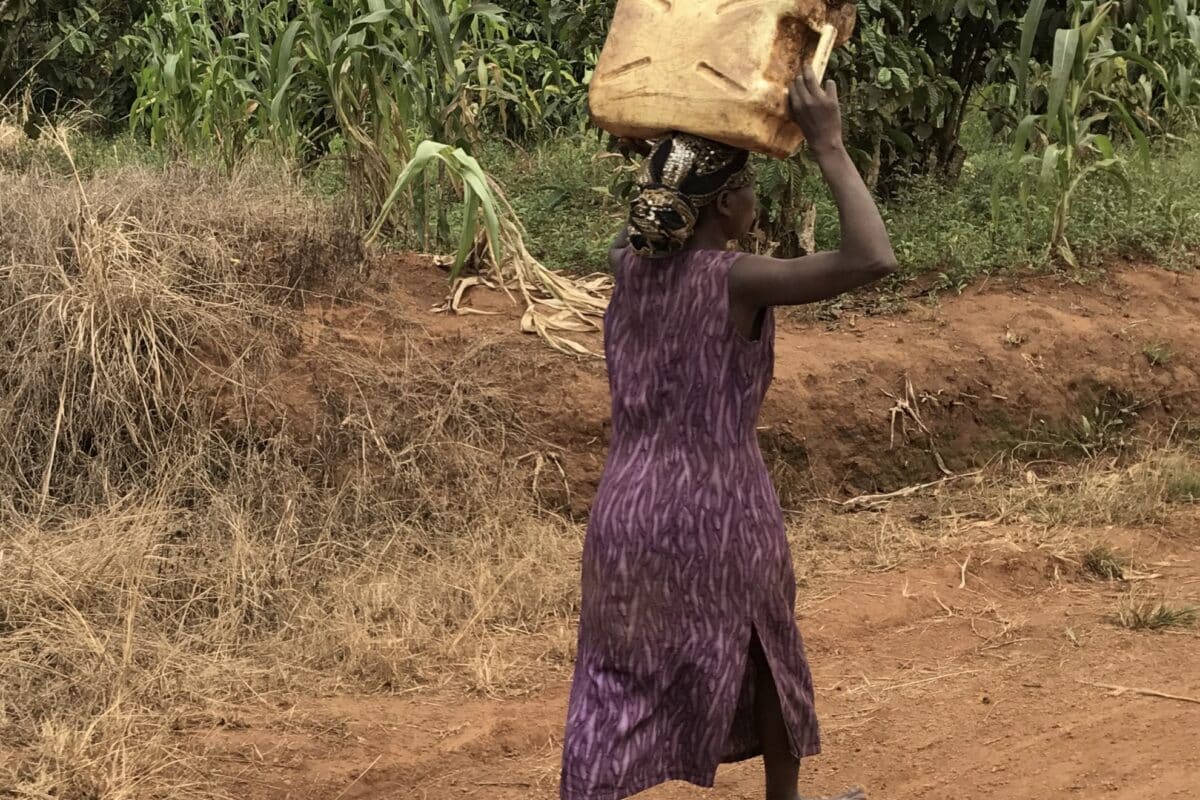 How Does Microfinance Work Microfinancing Partners In Africa